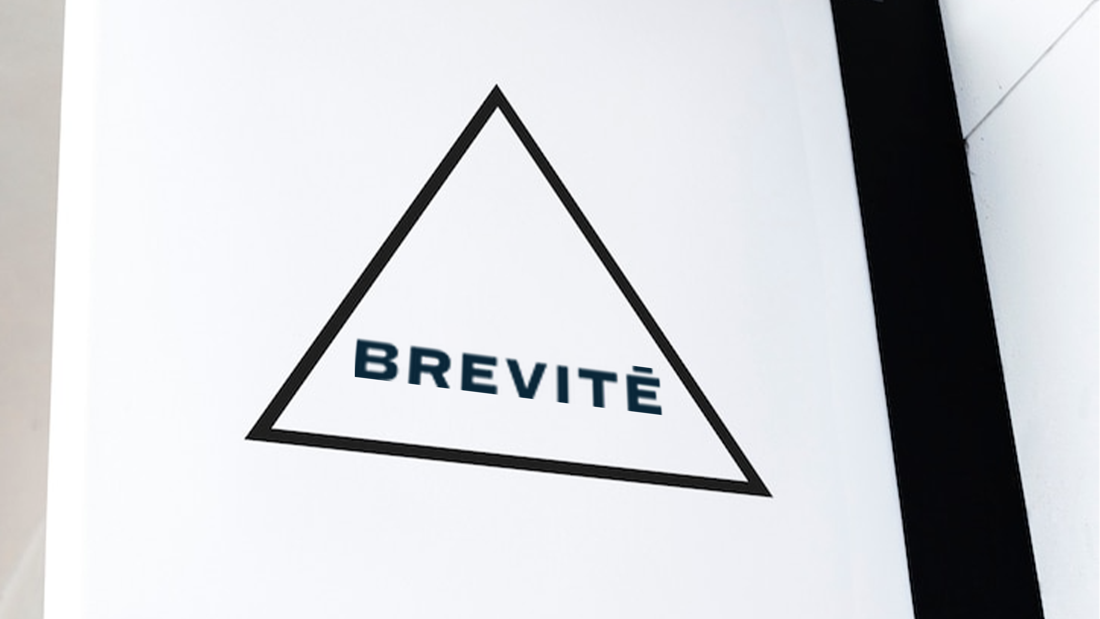 Branding Project 1